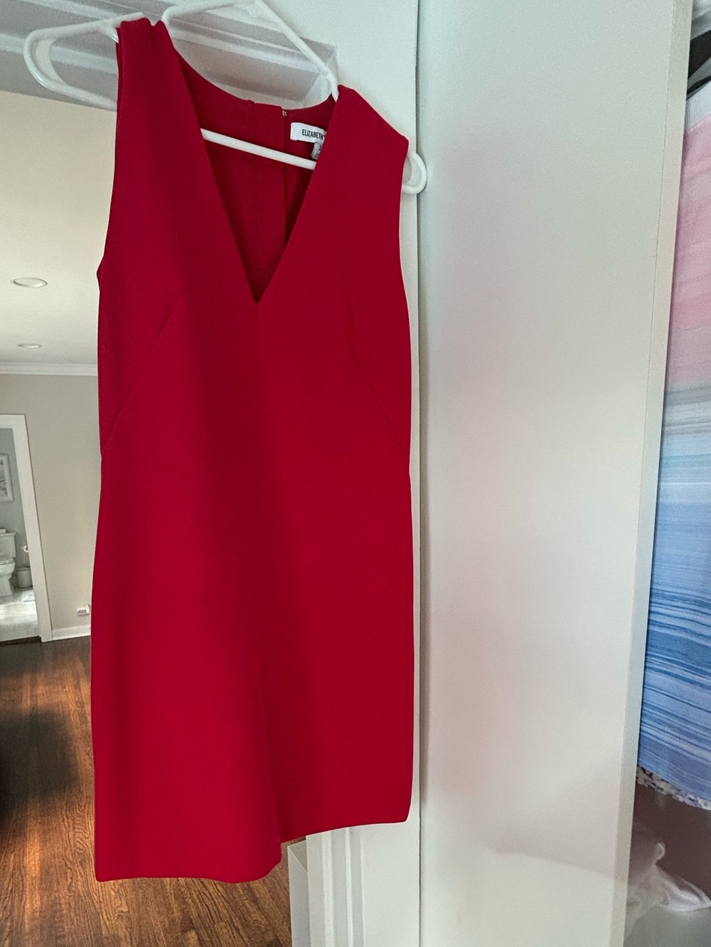 Elizabeth and James Red V-Neck Mini Dress with silver zipper in back.